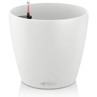 Lechuza Classico Color 28