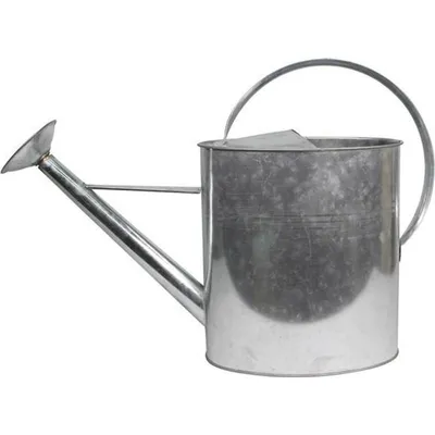 Home it Vattenkanna 10 l med spridare