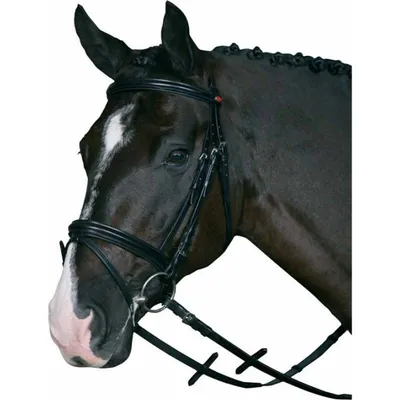 Horse Guard Cheval
