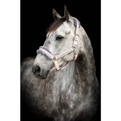 Horse Unique grimma med ludd