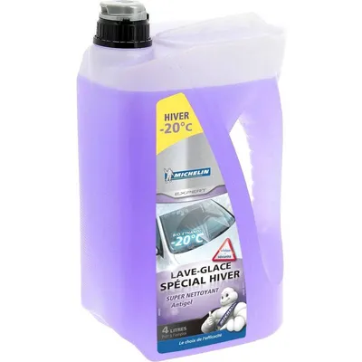 Michelin 009291 Vinter 4 l