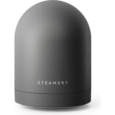 Steamery Pilo Icon